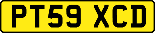 PT59XCD