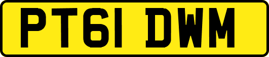 PT61DWM
