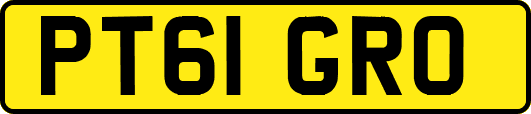 PT61GRO
