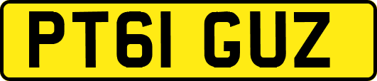 PT61GUZ
