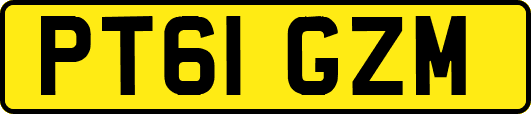 PT61GZM