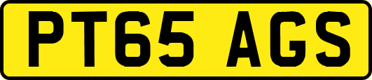 PT65AGS