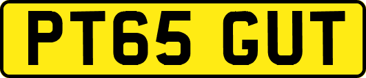 PT65GUT