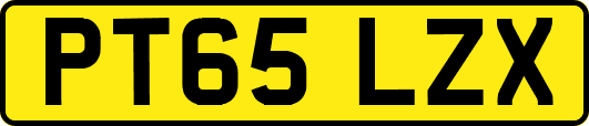 PT65LZX