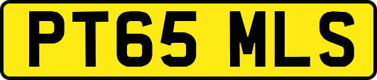 PT65MLS
