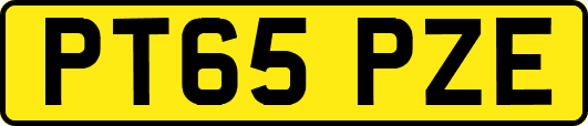 PT65PZE