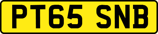 PT65SNB