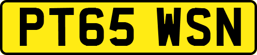 PT65WSN