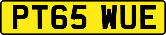 PT65WUE