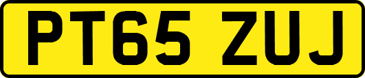 PT65ZUJ
