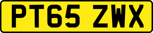 PT65ZWX