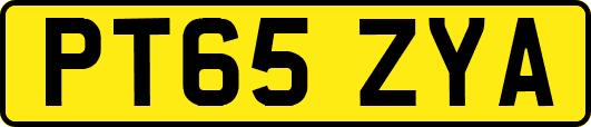 PT65ZYA