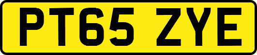 PT65ZYE