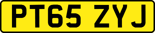 PT65ZYJ