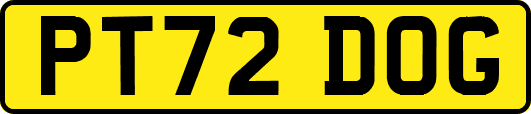 PT72DOG