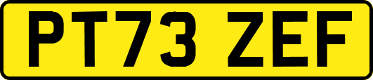 PT73ZEF