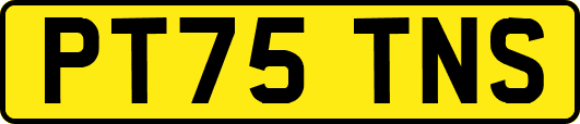 PT75TNS