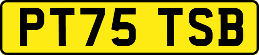 PT75TSB