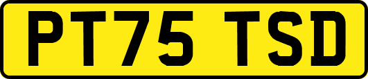 PT75TSD