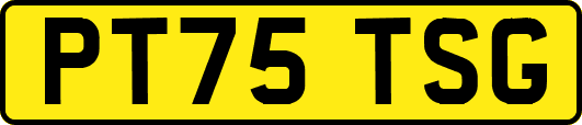 PT75TSG