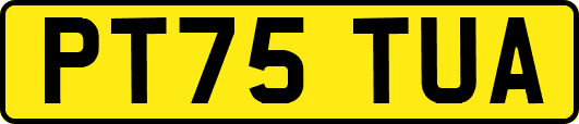 PT75TUA