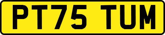 PT75TUM