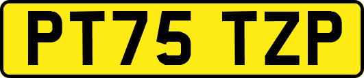 PT75TZP