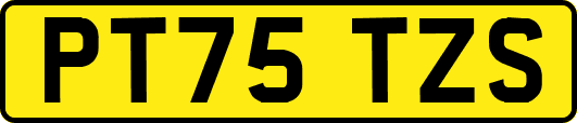 PT75TZS