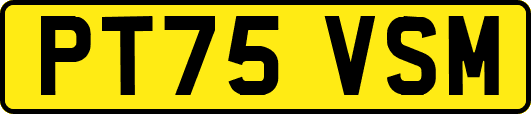 PT75VSM