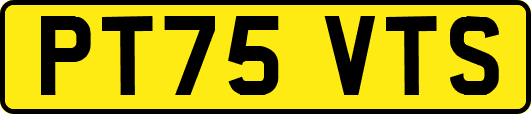 PT75VTS