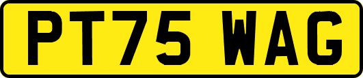 PT75WAG