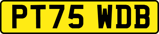 PT75WDB