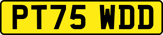 PT75WDD