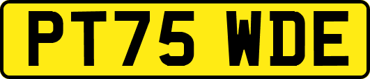 PT75WDE