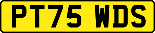 PT75WDS