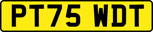 PT75WDT