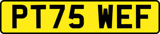 PT75WEF