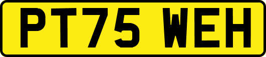 PT75WEH
