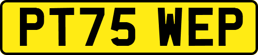 PT75WEP