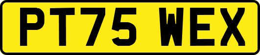 PT75WEX