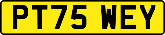 PT75WEY