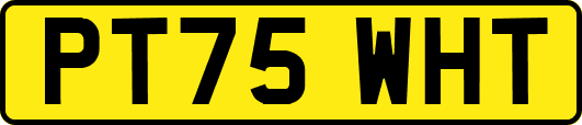 PT75WHT