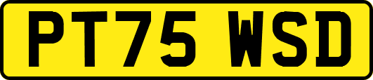 PT75WSD