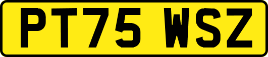 PT75WSZ