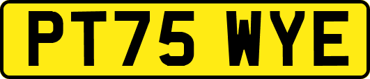 PT75WYE