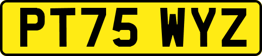 PT75WYZ