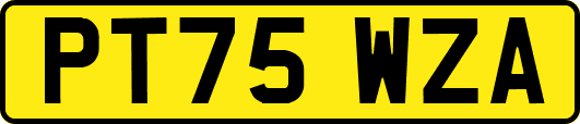 PT75WZA