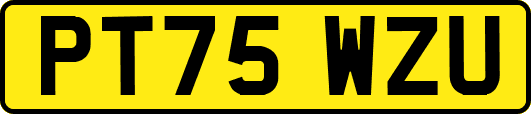 PT75WZU