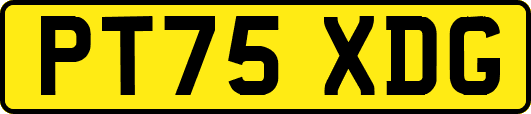 PT75XDG