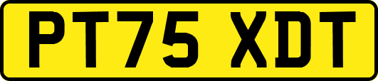 PT75XDT